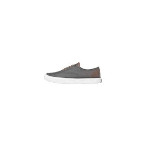 JFWCurtis Casual CVS